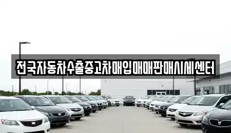 경기 성남시 수정구 신촌동 중고차 전문 전국자동차수출중고차매입매매판매시세센터