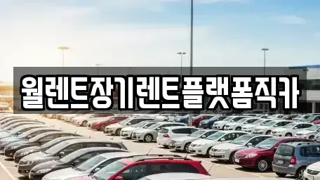 경기 성남시 수정구 장기렌트카 전문 월렌트장기렌트플랫폼직카