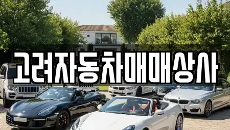 경기 성남시 수정구 중고차 전문 고려자동차매매상사