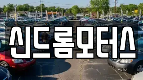 경기 성남시 수정구 중고차 전문 신드롬모터스