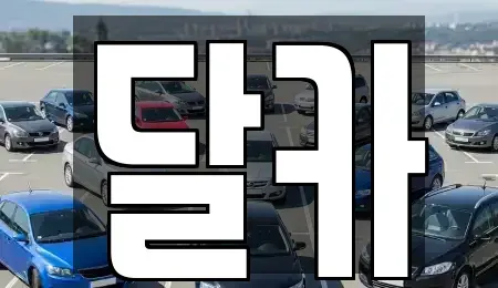 경기 수원시 권선구 단기렌트카 전문 달카