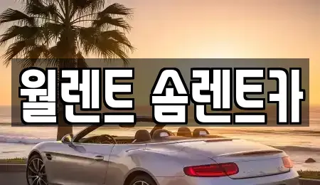 경기 수원시 권선구 렌트카 전문 월렌트 솜렌트카