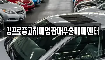 경기 수원시 권선구 중고차매입 전문 김프로중고차매입판매수출매매센터