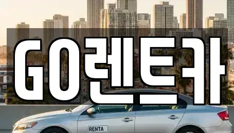 경기 수원시 영통구 원천동 렌트카 전문 GO렌트카