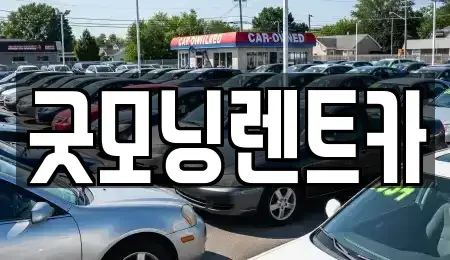 경기 수원시 영통구 원천동 렌트카 전문 굿모닝렌트카
