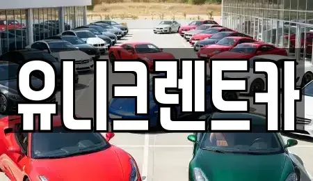 경기 수원시 영통구 원천동 렌트카 전문 유니크렌트카