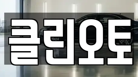 경기 수원시 영통구 원천동 중고차 전문 클린오토