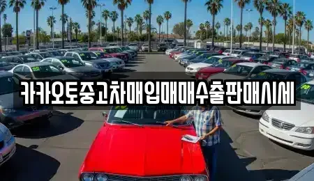 경기 수원시 영통구 원천동 중고차매입 전문 카카오토중고차매입매매수출판매시세