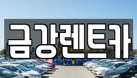 경기 수원시 장안구 하광교동 렌트카 전문 금강렌트카