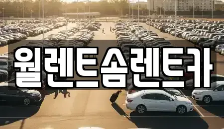경기 수원시 장안구 하광교동 렌트카 전문 월렌트솜렌트카