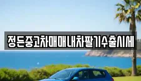 경기 수원시 장안구 하광교동 중고차 전문 정든중고차매매내차팔기수출시세