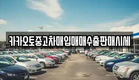 경기 수원시 장안구 하광교동 중고차매입 전문 카카오토중고차매입매매수출판매시세