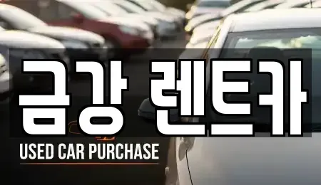 경기 수원시 팔달구 렌트카 전문 금강 렌트카