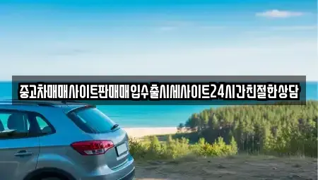 경기 수원시 팔달구 중고차 전문 중고차매매사이트판매매입수출시세사이트24시간친절한상담