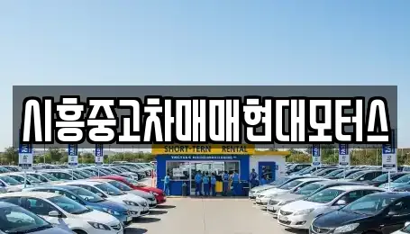 경기 시흥시 논곡동 중고차 전문 시흥중고차매매현대모터스