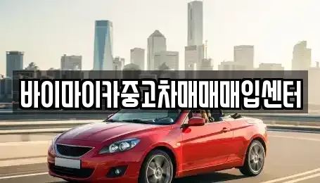 경기 시흥시 논곡동 중고차매입 전문 바이마이카중고차매매매입센터
