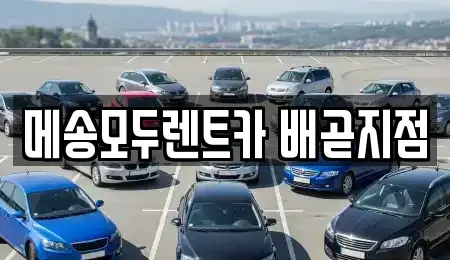 경기 시흥시 배곧동 렌트카 전문 메송모두렌트카 배곧지점