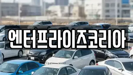 경기 시흥시 배곧동 렌트카 전문 엔터프라이즈코리아
