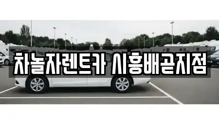 경기 시흥시 배곧동 렌트카 전문 차놀자렌트카 시흥배곧지점