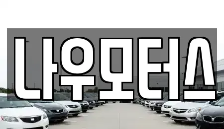 경기 시흥시 배곧동 중고차 전문 나우모터스