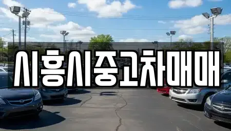 경기 시흥시 배곧동 중고차 전문 시흥시중고차매매