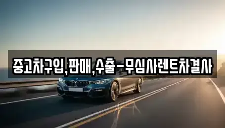 경기 시흥시 배곧동 중고차,렌트카,중고차매입,중고차매매,장기렌트카,단기렌트카