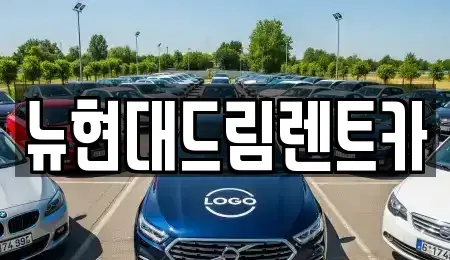 경기 시흥시 하상동 렌트카 전문 뉴현대드림렌트카