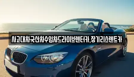 경기 시흥시 하상동 렌트카 전문 사고대차국산차수입차드라이브렌터카,장기리스렌트카