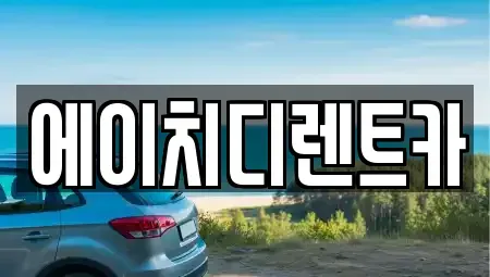 경기 시흥시 하상동 렌트카 전문 에이치디렌트카