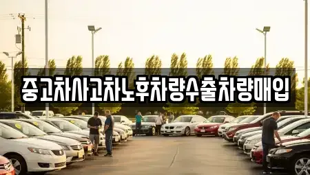 경기 시흥시 하상동 중고차 전문 중고차사고차노후차량수출차량매입