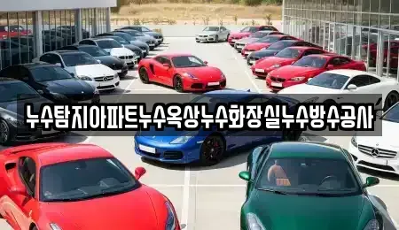 경기 시흥시 하상동 중고차매입 전문 누수탐지아파트누수옥상누수화장실누수방수공사