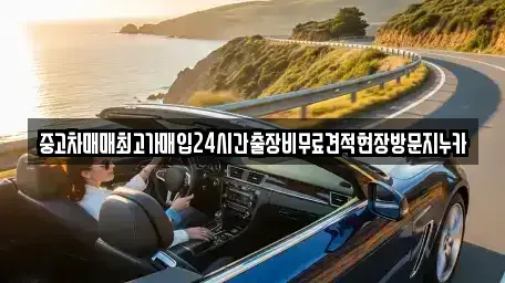 경기 시흥시 하상동 중고차매입 전문 중고차매매최고가매입24시간출장비무료견적현장방문지누카