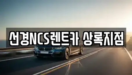 경기 안산시 단원구 고잔동 단기렌트카 전문 선경NCS렌트카 상록지점