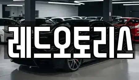 경기 안산시 단원구 고잔동 장기렌트카 전문 레드오토리스