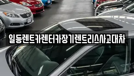 경기 안산시 단원구 고잔동 장기렌트카 전문 일등렌트카렌터카장기렌트리스사고대차