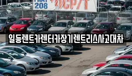 경기 안산시 단원구 선부동 장기렌트카 전문 일등렌트카렌터카장기렌트리스사고대차