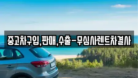 경기 안산시 단원구 선부동 중고차매매 전문 중고차구입,판매,수출-무심사렌트차결사