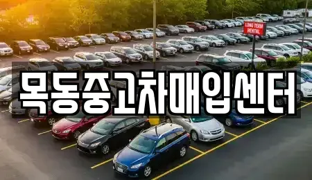 경기 안산시 단원구 선부동 중고차매입 전문 목동중고차매입센터