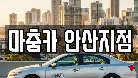 경기 안산시 상록구 사동 단기렌트카 전문 마춤카 안산지점