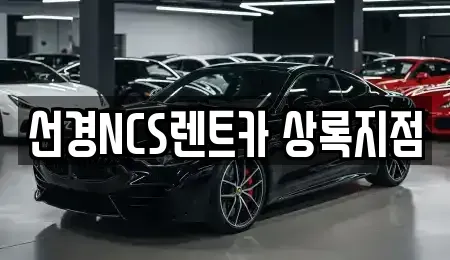 경기 안산시 상록구 사동 단기렌트카 전문 선경NCS렌트카 상록지점