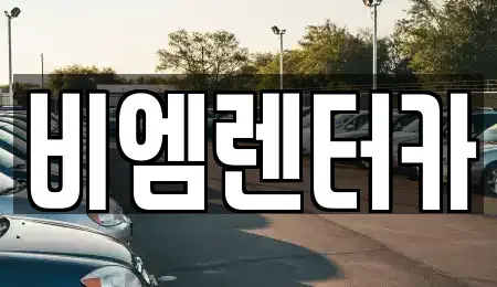경기 안산시 상록구 사동 렌트카 전문 비엠렌터카