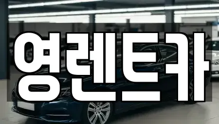 경기 안산시 상록구 사동 렌트카 전문 영렌트카