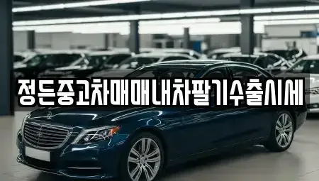 경기 안성시 고삼면 중고차 전문 정든중고차매매내차팔기수출시세