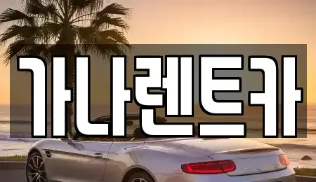 경기 안성시 동본동 렌트카 전문 가나렌트카