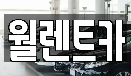 경기 안성시 동본동 렌트카 전문 월렌트카