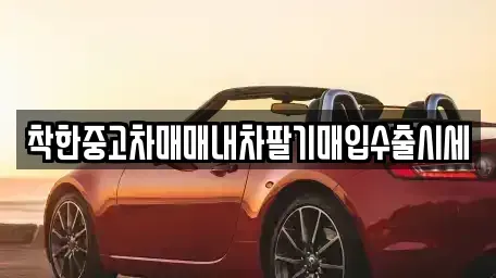 경기 안성시 동본동 중고차 전문 착한중고차매매내차팔기매입수출시세