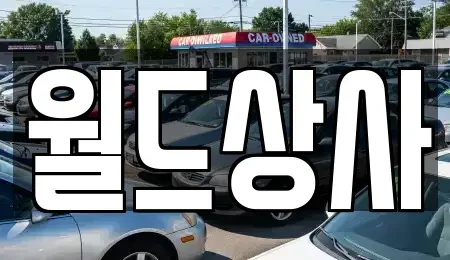 경기 안성시 동본동 중고차매매 전문 월드상사