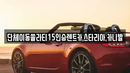 경기 안성시 보개면 렌트카 전문 단체이동쏠라티15인승렌트카,스타리아,카니발