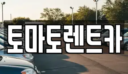 경기 안성시 보개면 렌트카 전문 토마토렌트카