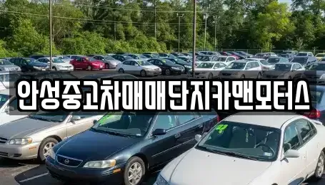경기 안성시 보개면 중고차 전문 안성중고차매매단지카맨모터스